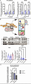 Figure 4: