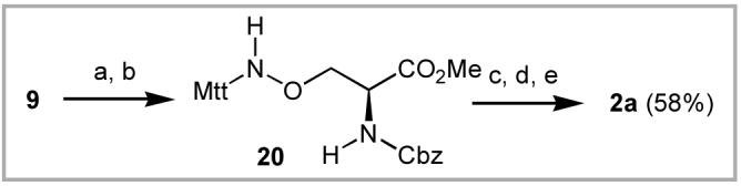 Scheme 6