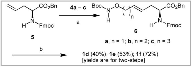 Scheme 2