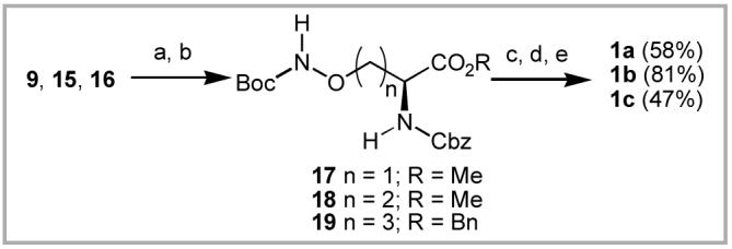 Scheme 5