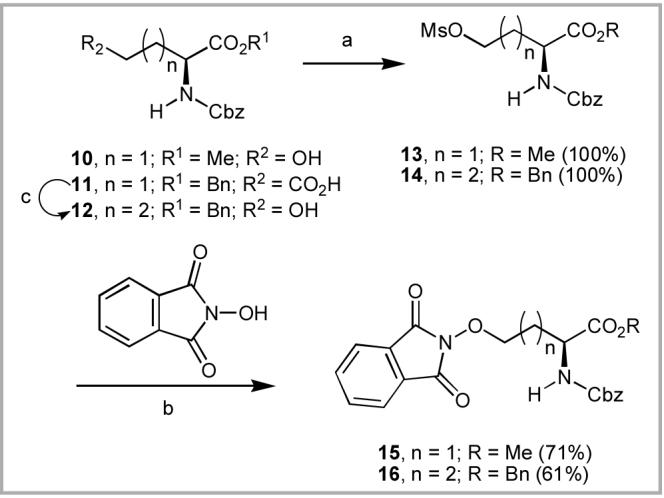 Scheme 4