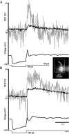 Figure 10.