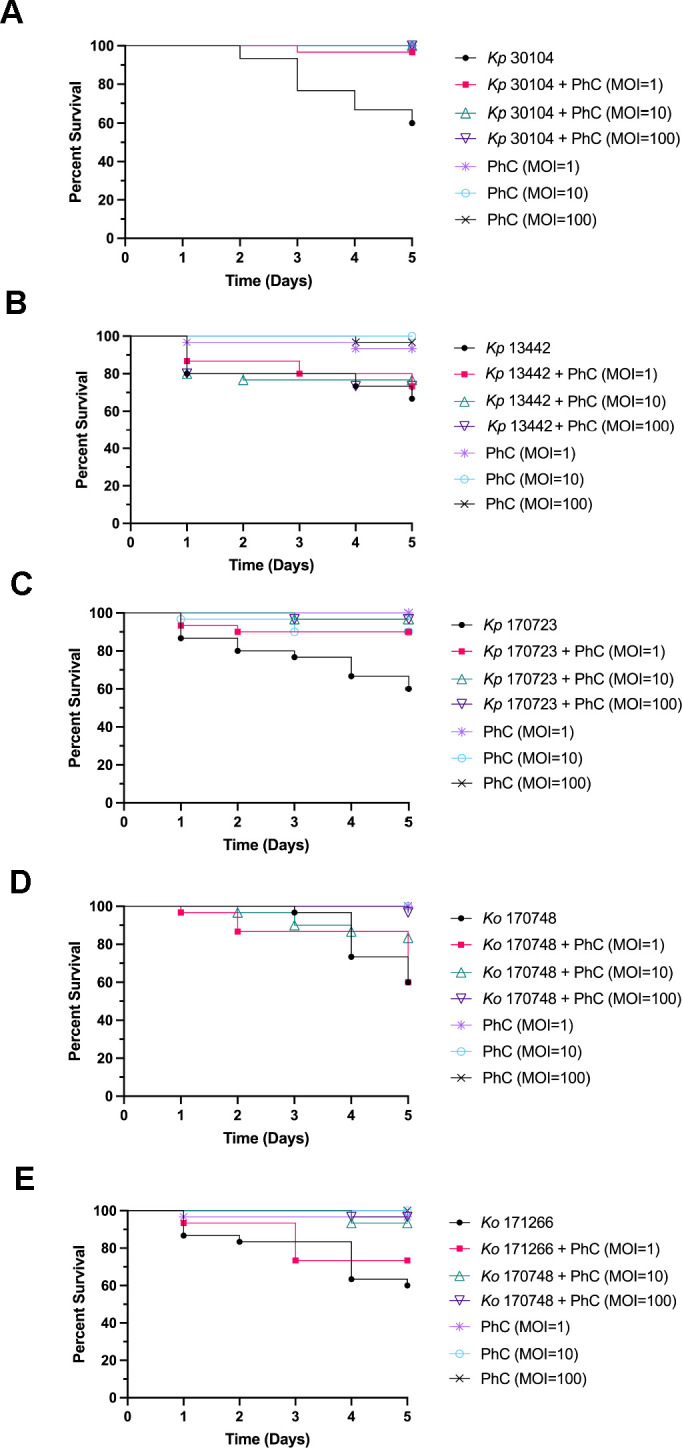 Fig 4