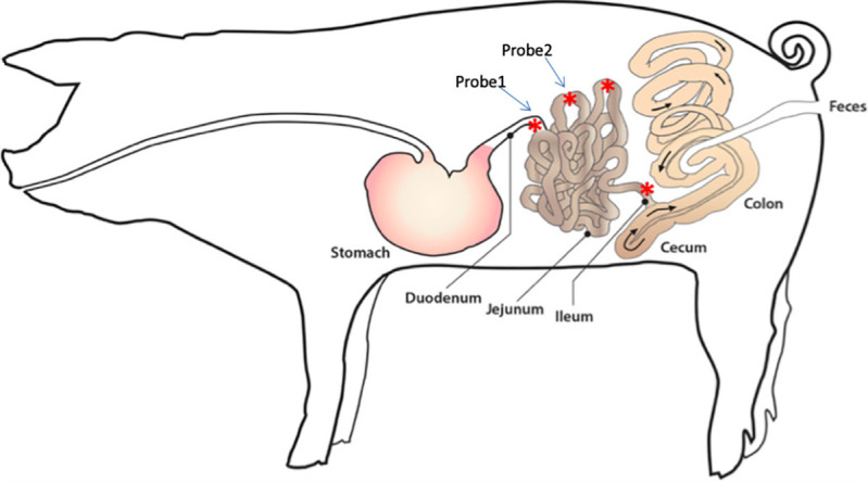 Fig 2