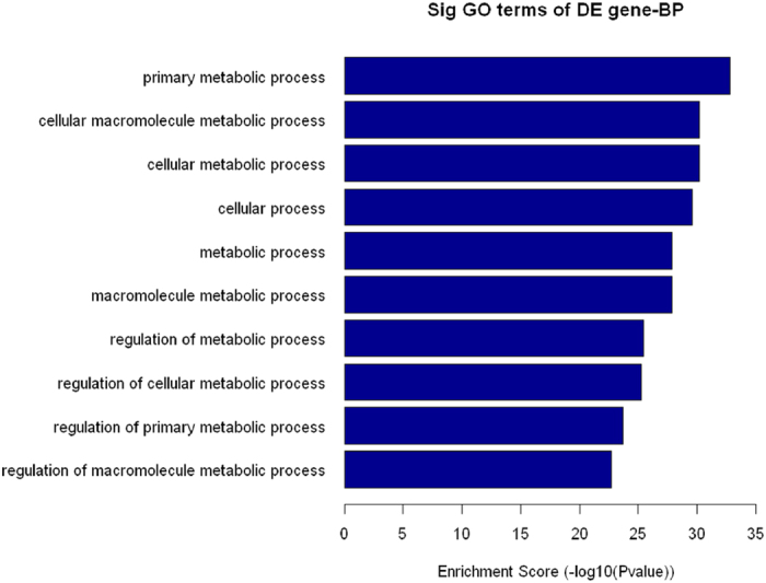 Figure 10