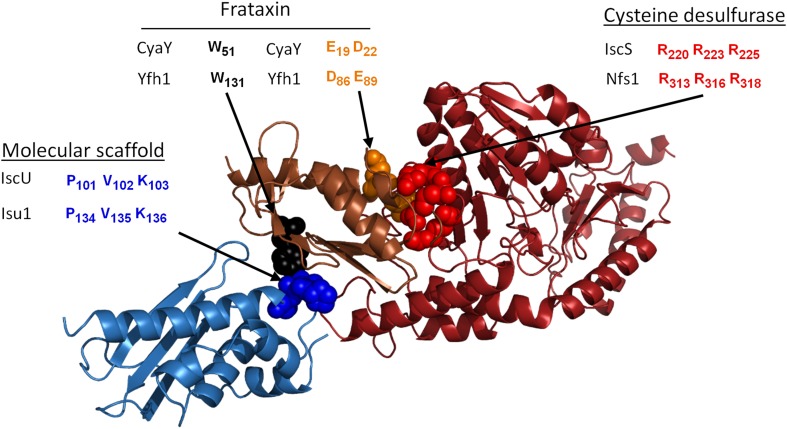 Fig. 4