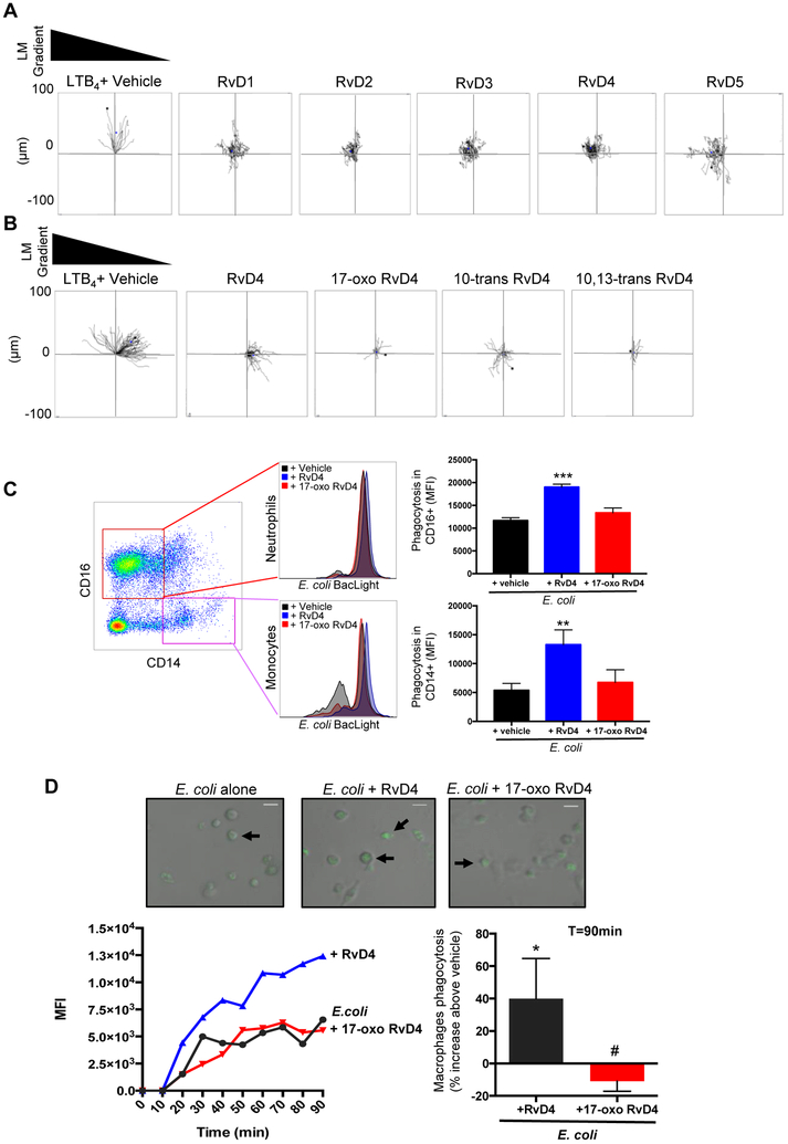 Figure 10.