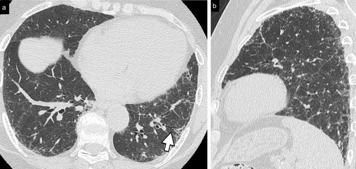 Fig. 8