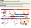 Structured Graphical Abstract
