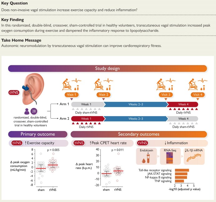 Structured Graphical Abstract