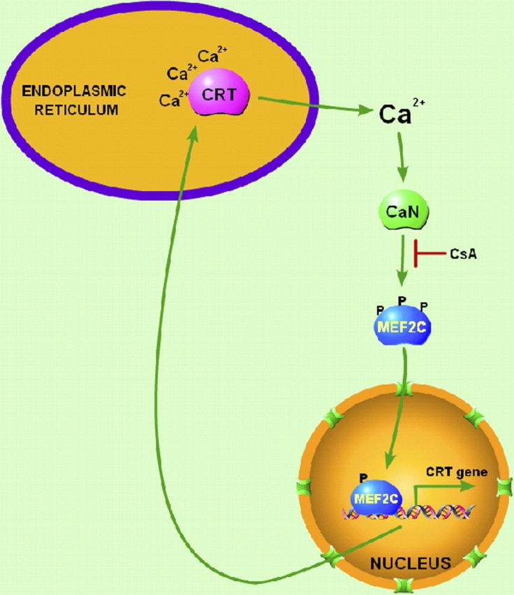 Figure 7.