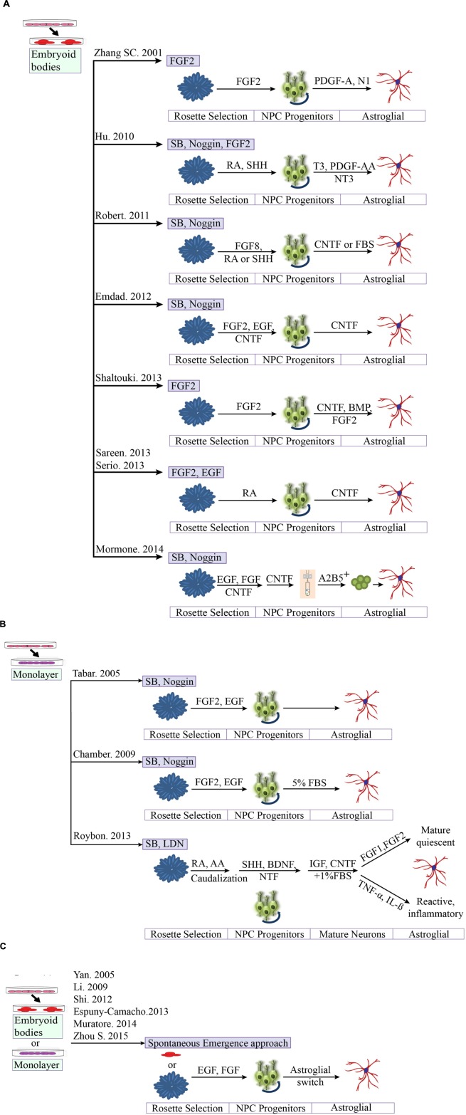 FIGURE 3