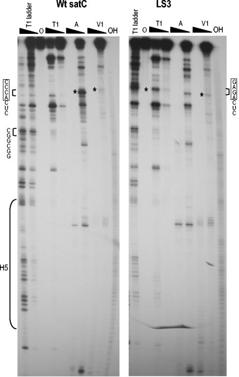 FIG. 6.