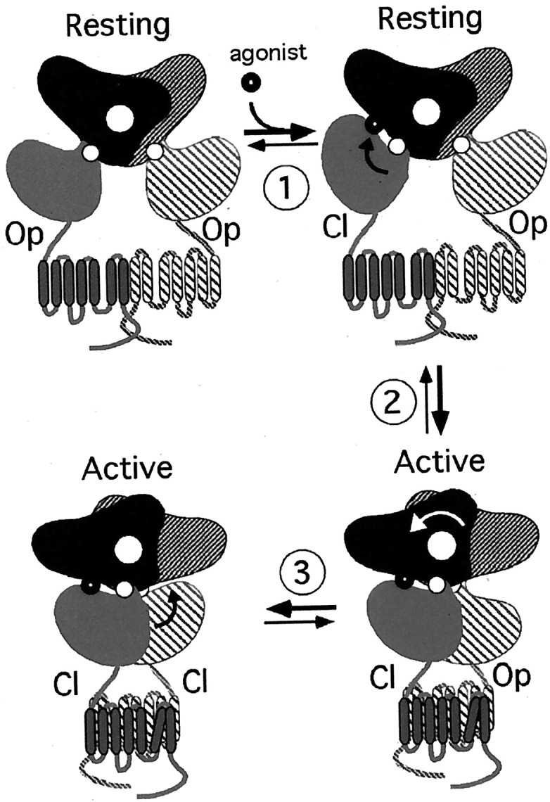 Fig. 8.