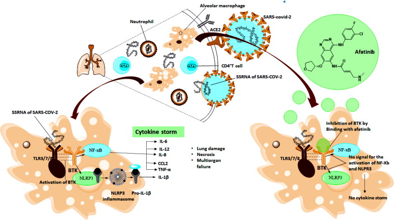 Figure 13.