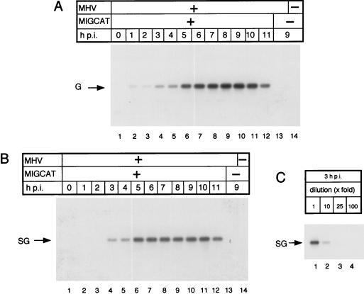 FIG. 3