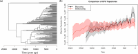 The serially sampled UPGMA binary genealogy of all Japanese sardine sequences.