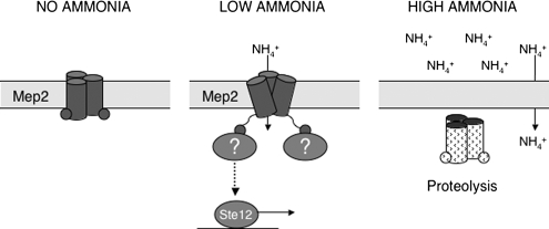 Figure 9.