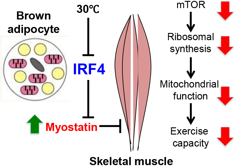 graphic file with name nihms-1500086-f0001.jpg