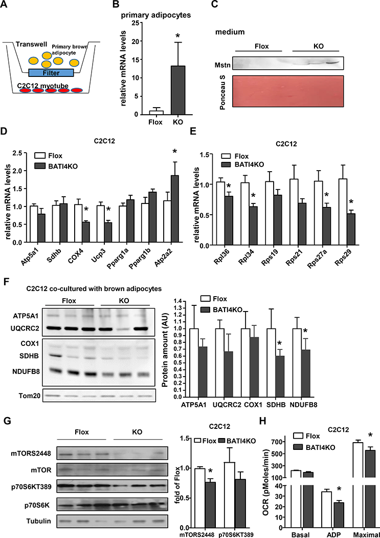 Figure 4: