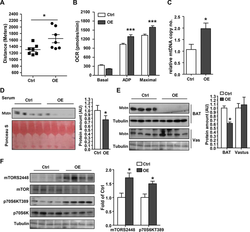 Figure 6: