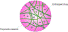 Figure 5: