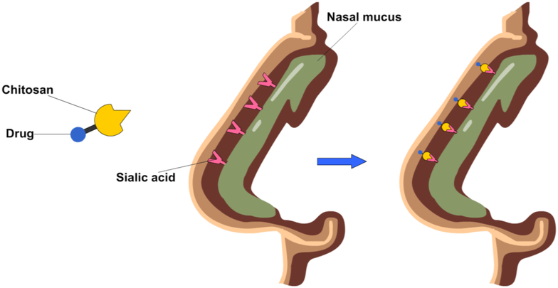 Figure 4: