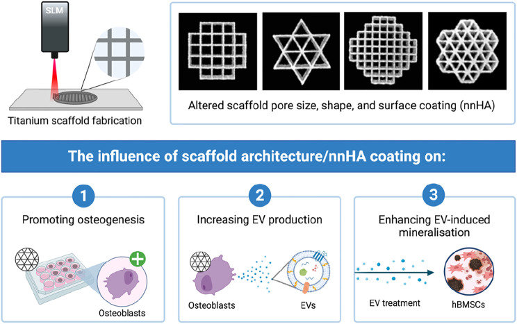 GRAPHICAL ABSTRACT