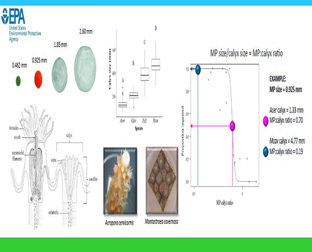 graphic file with name nihms-1766504-f0001.jpg