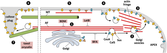 Figure 10.