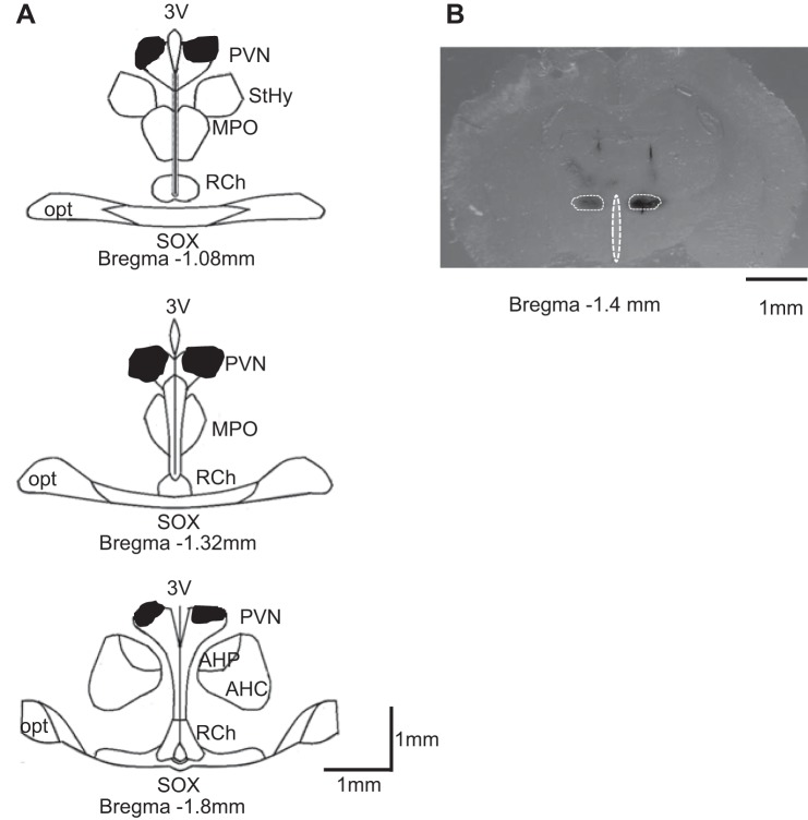 Fig. 4.