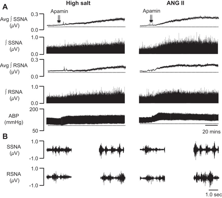 Fig. 3.