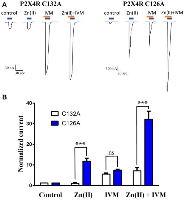 Figure 7