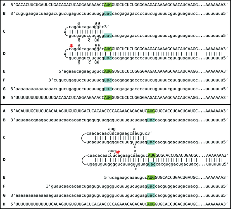 Figure 4: