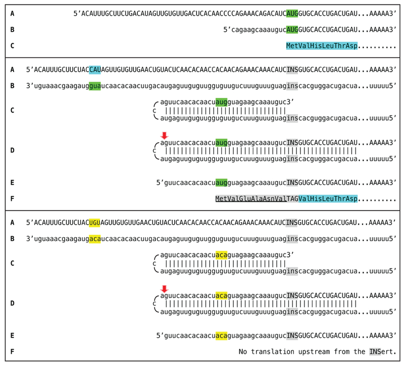 Figure 13: