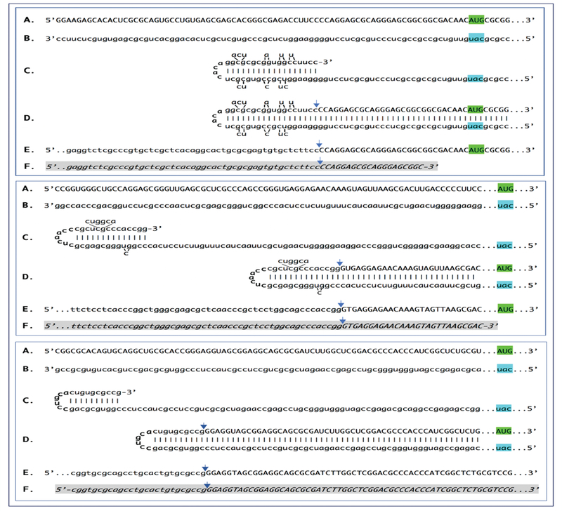 Figure 2: