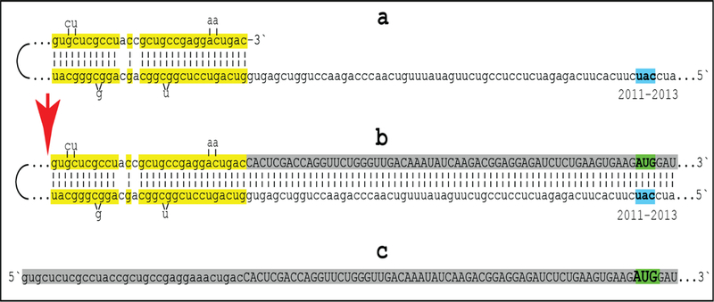 Figure 6: