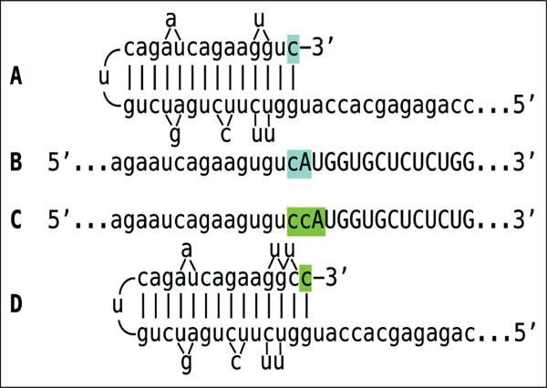 Figure 10: