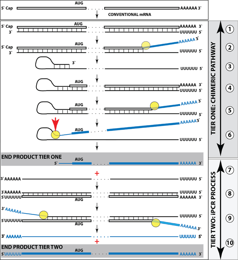 Figure 3: