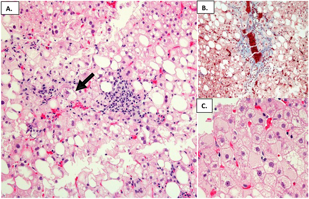 Figure 1.