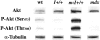 Figure 10.