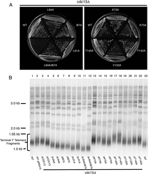 FIG. 5.