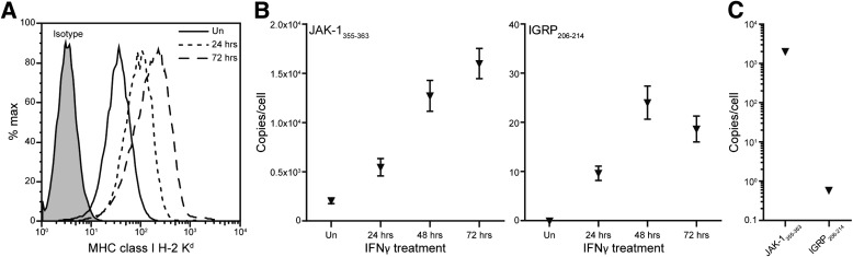 FIG. 6.