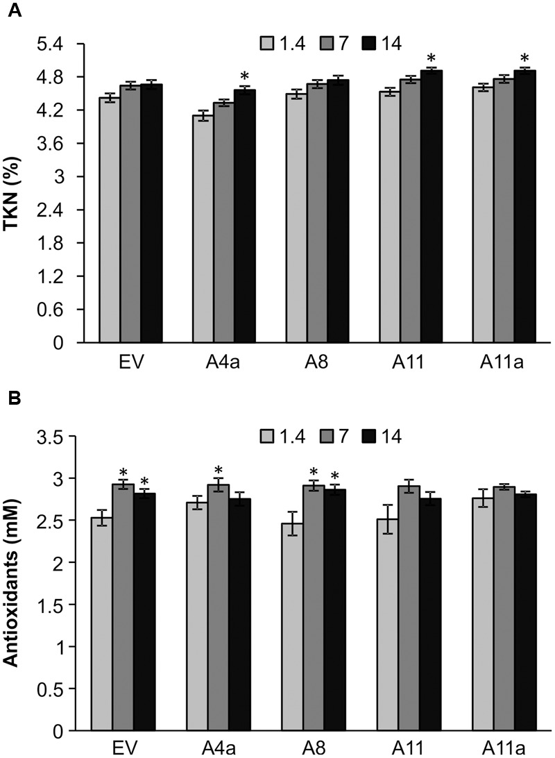 FIGURE 4