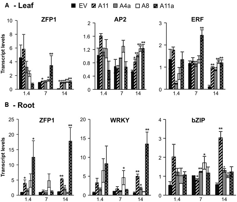 FIGURE 6