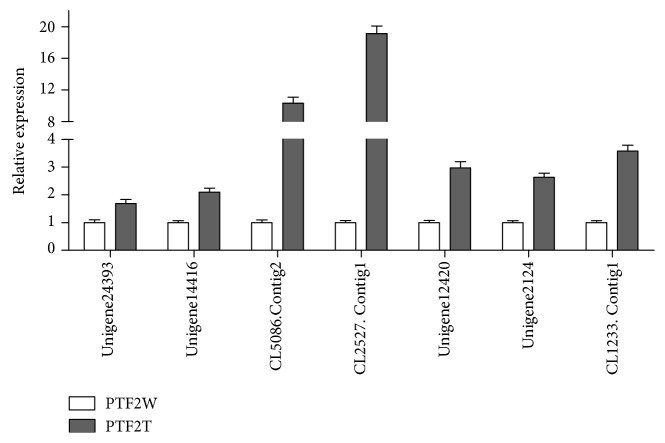 Figure 5