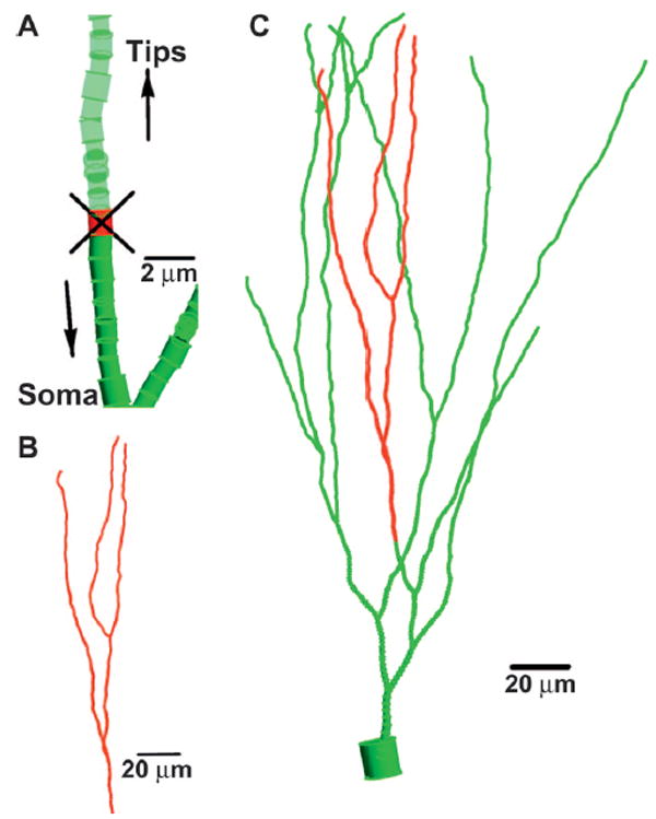 FIG. 1