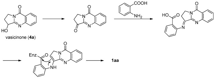 Scheme 1