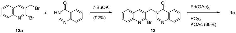 Scheme 5