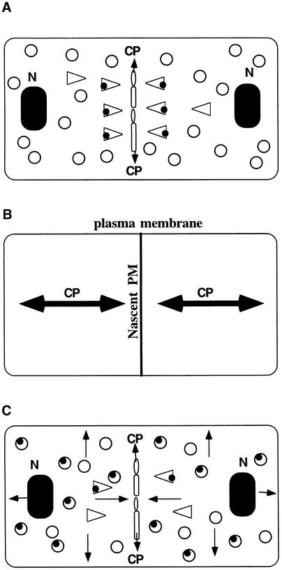 Figure 9.